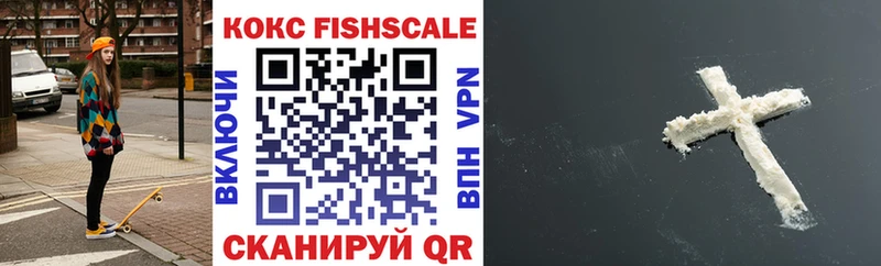 Купить закладки  Бутурлиновка  Cocaine Fish Scale 