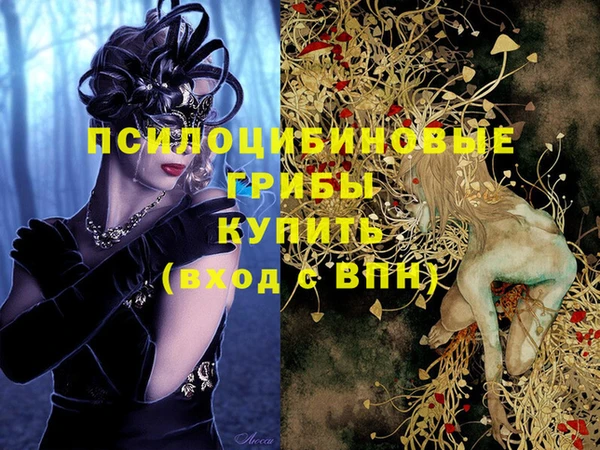 MDMA Каменка