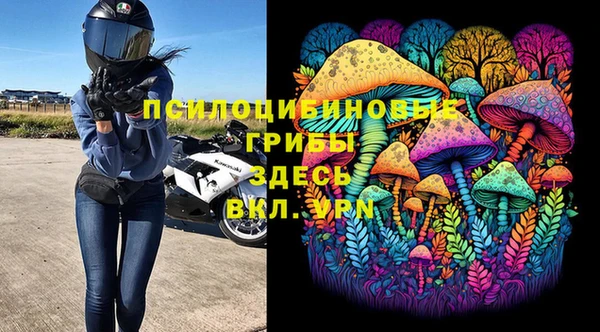 не бодяженный Каменногорск