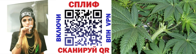 Купить где  Бутурлиновка  Канабис ГИДРОПОН 